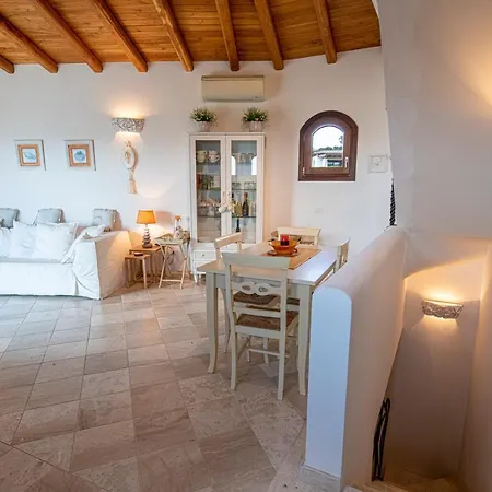 Dalia Punta Molara San Teodoro