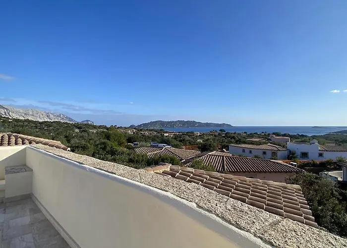 Dalia Punta Molara *